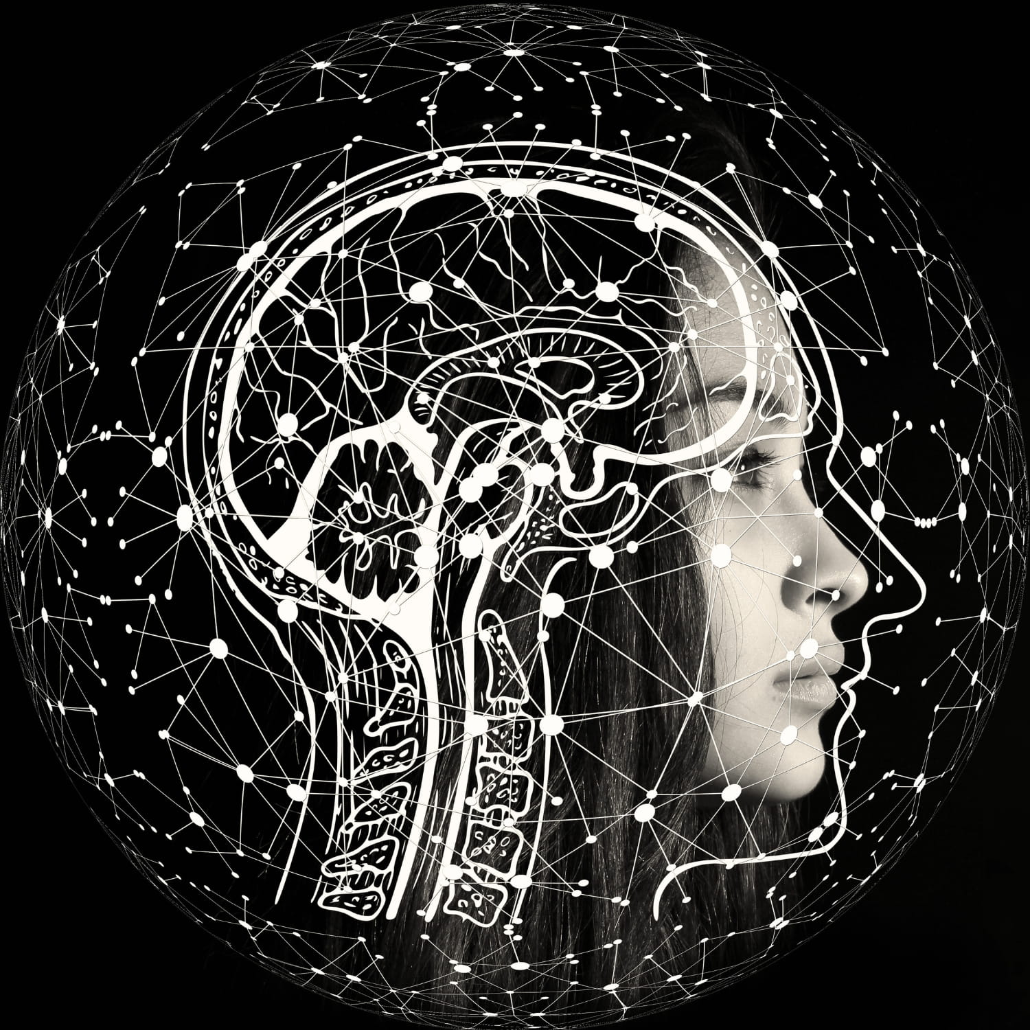 Up To 95% Of Serotonin Is Made In The Gut