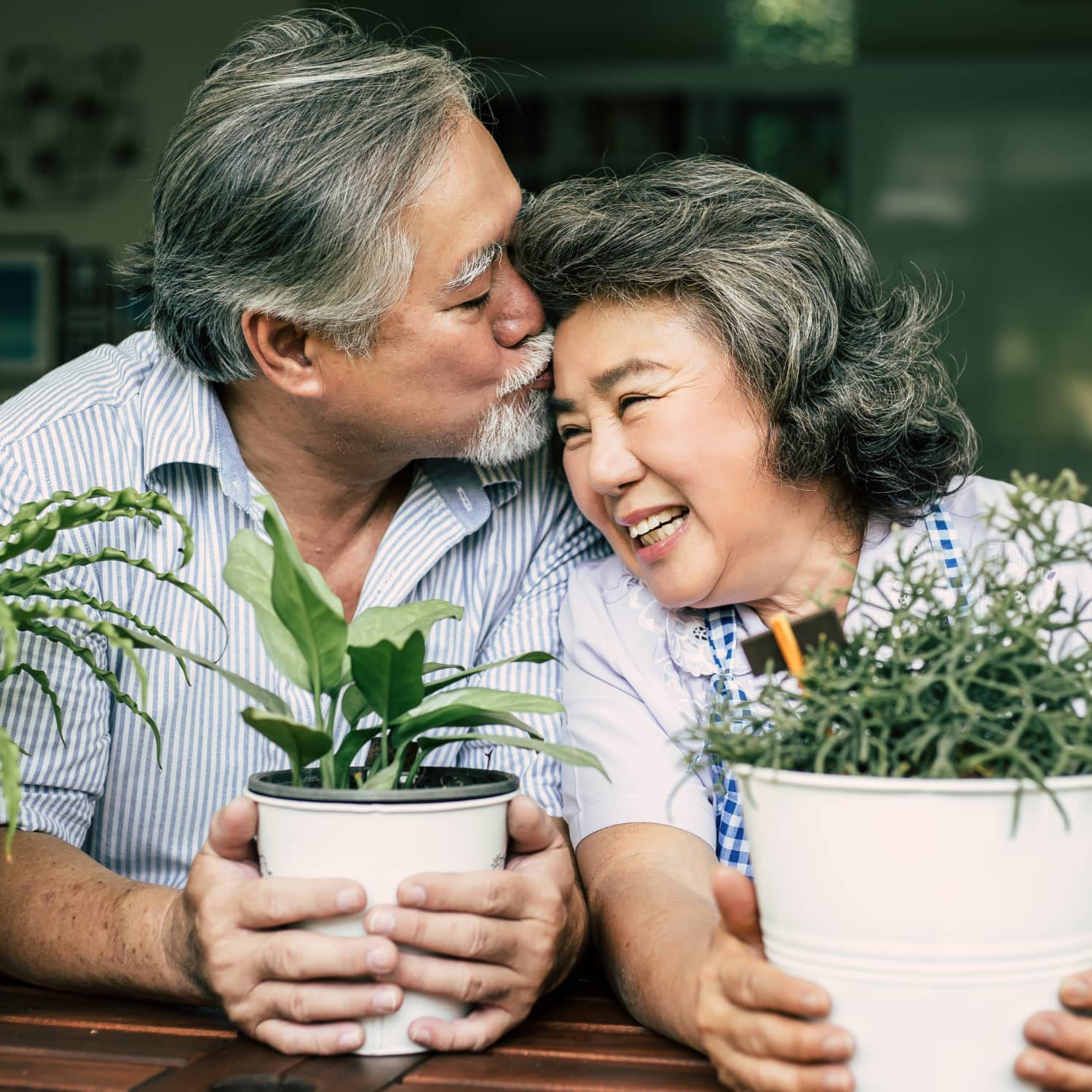 Gut-Brain Axis and Longevity: How Your Microbiome Influences Energy, Brain Function, and Aging