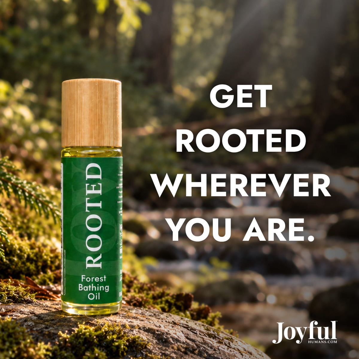 ROOTED Forest Bathing Oil
