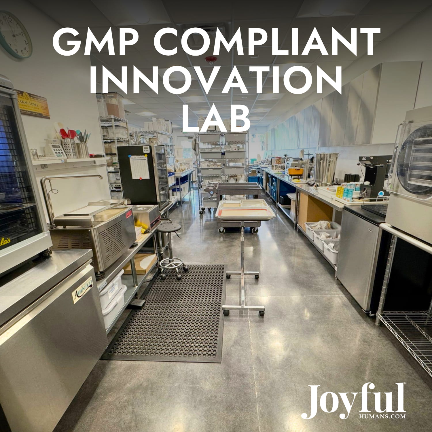 My Vagus Nerve BALANCE™ Tincture