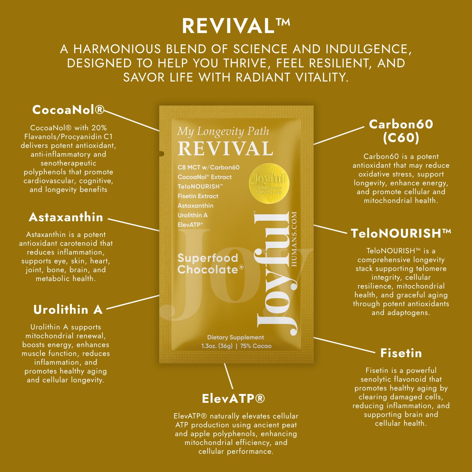 REVIVAL™ Superfood Chocolate®