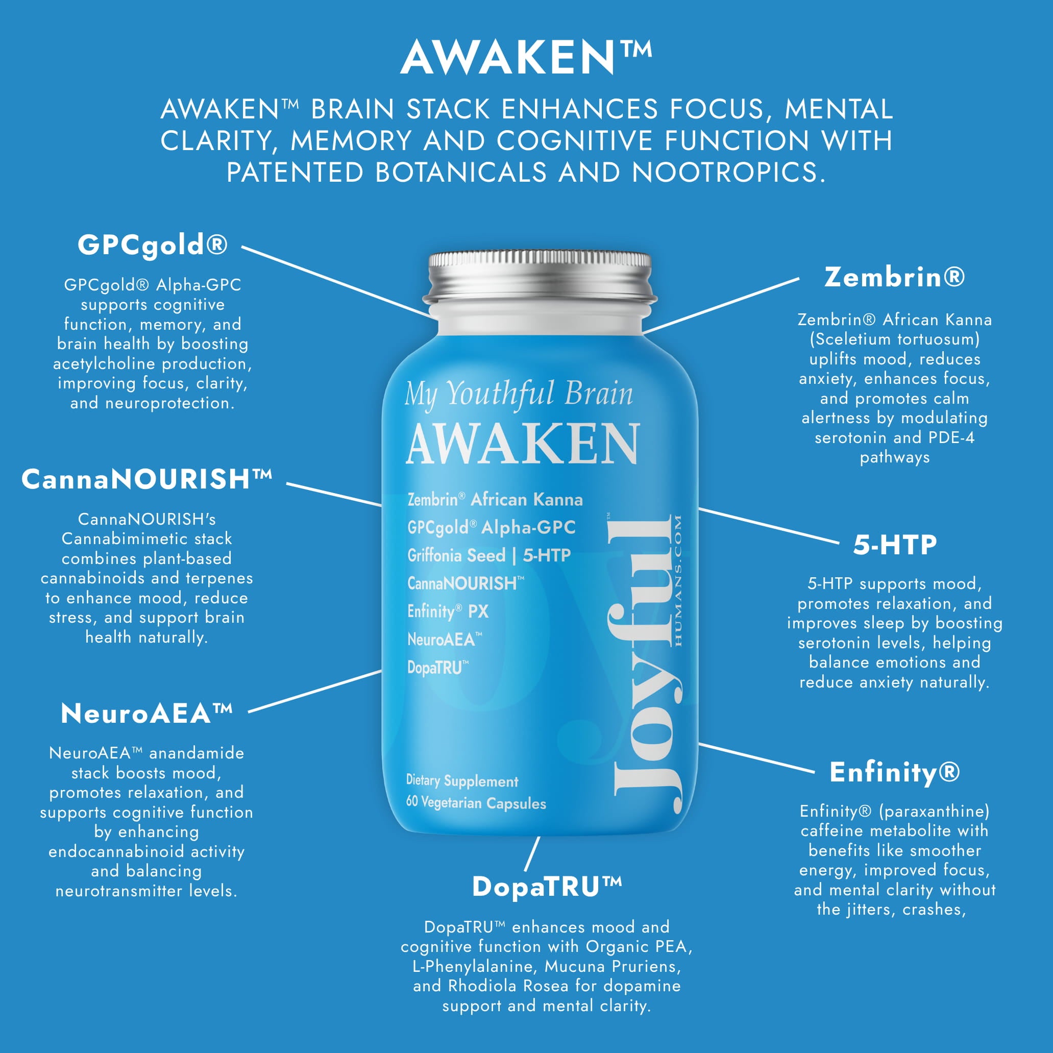 My Youthful Brain AWAKEN™