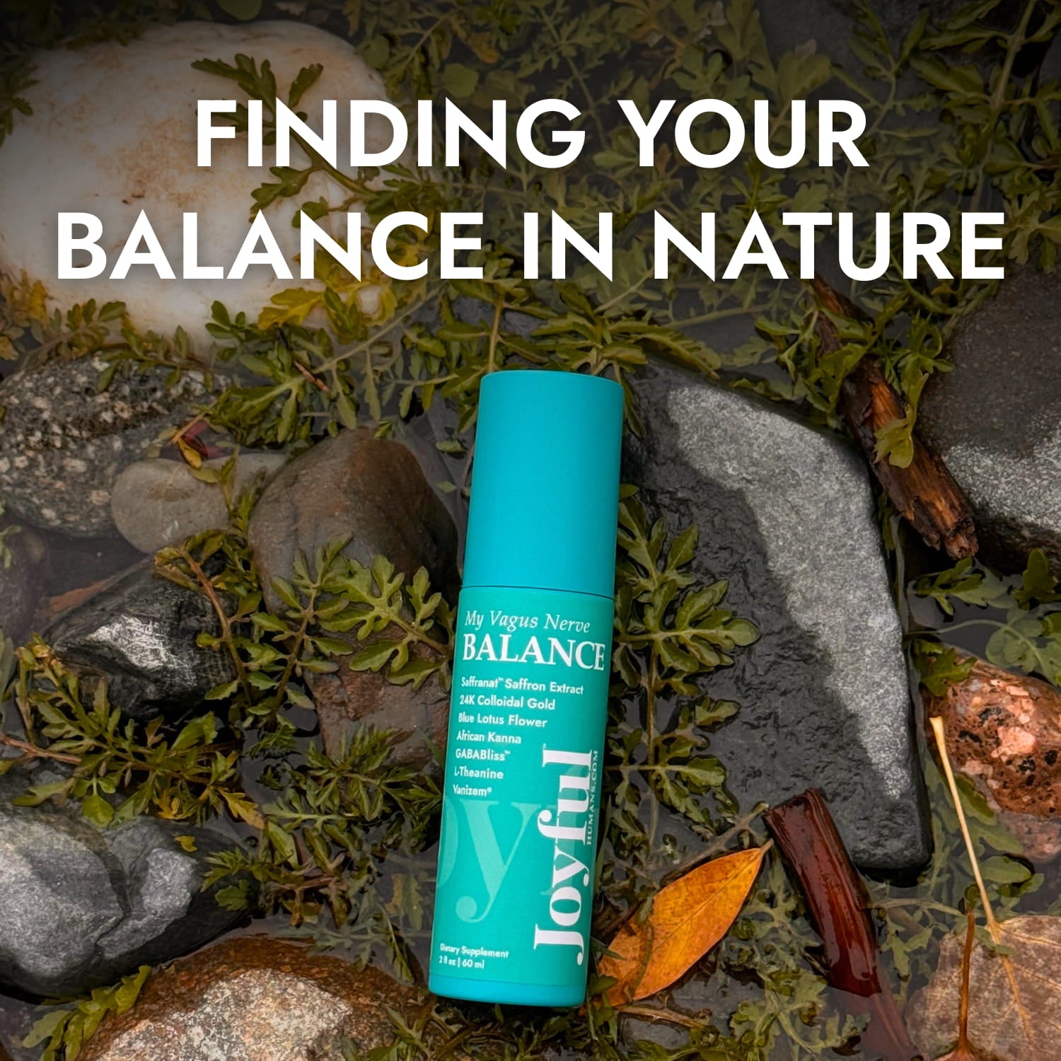 My Vagus Nerve BALANCE™ Tincture