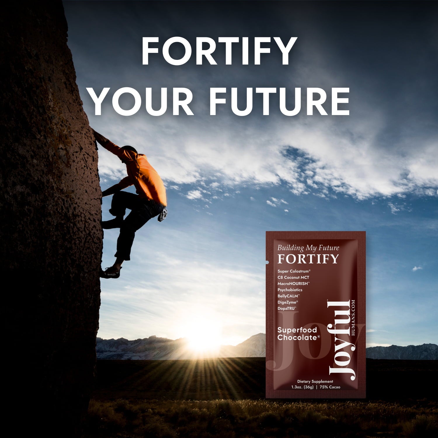 FORTIFY™ Superfood Chocolate®