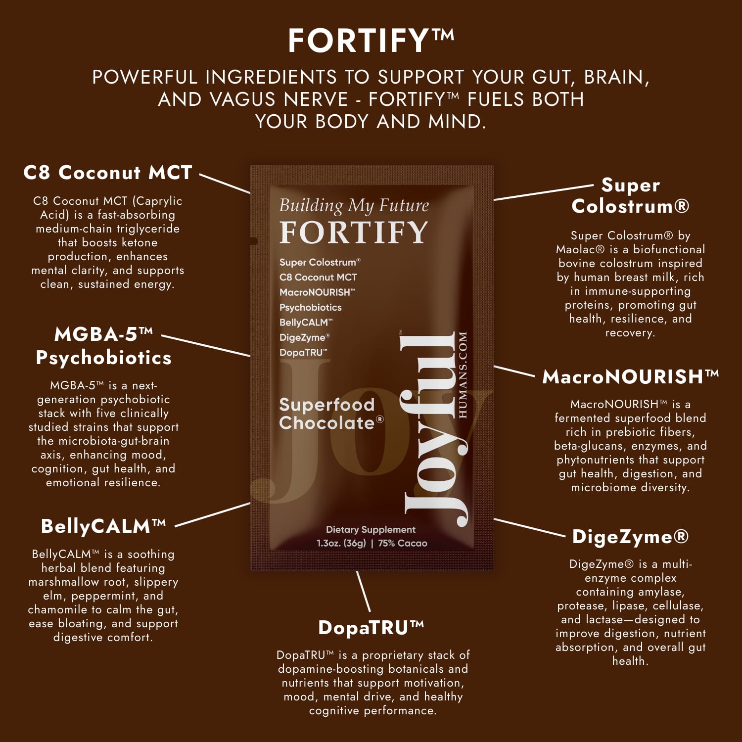 Building My Future FORTIFY™