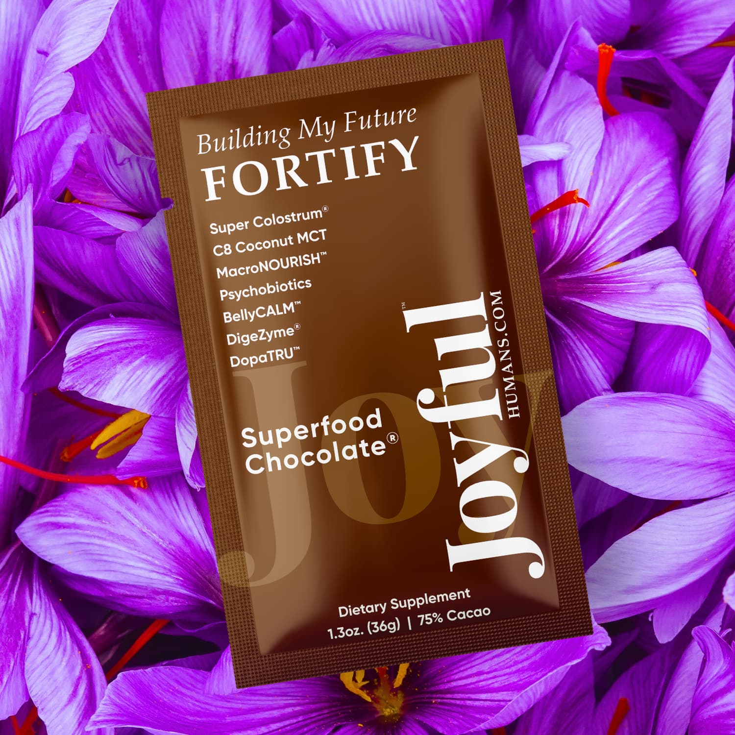 Building My Future FORTIFY™
