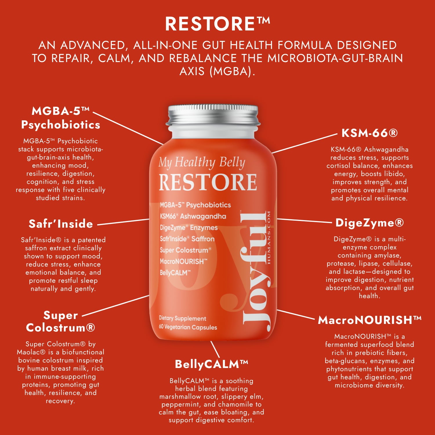 My Healthy Belly RESTORE™