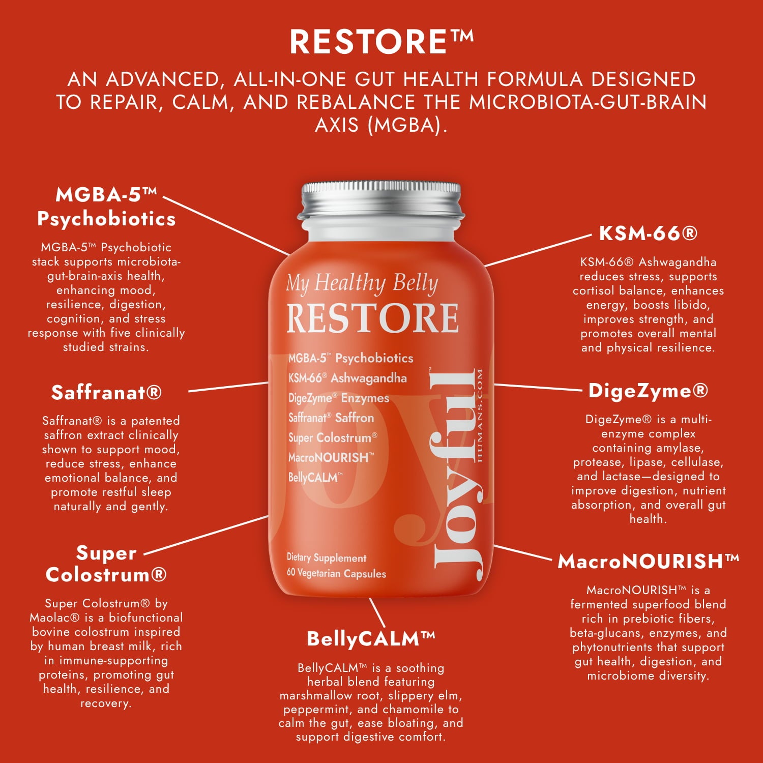 My Healthy Belly RESTORE™