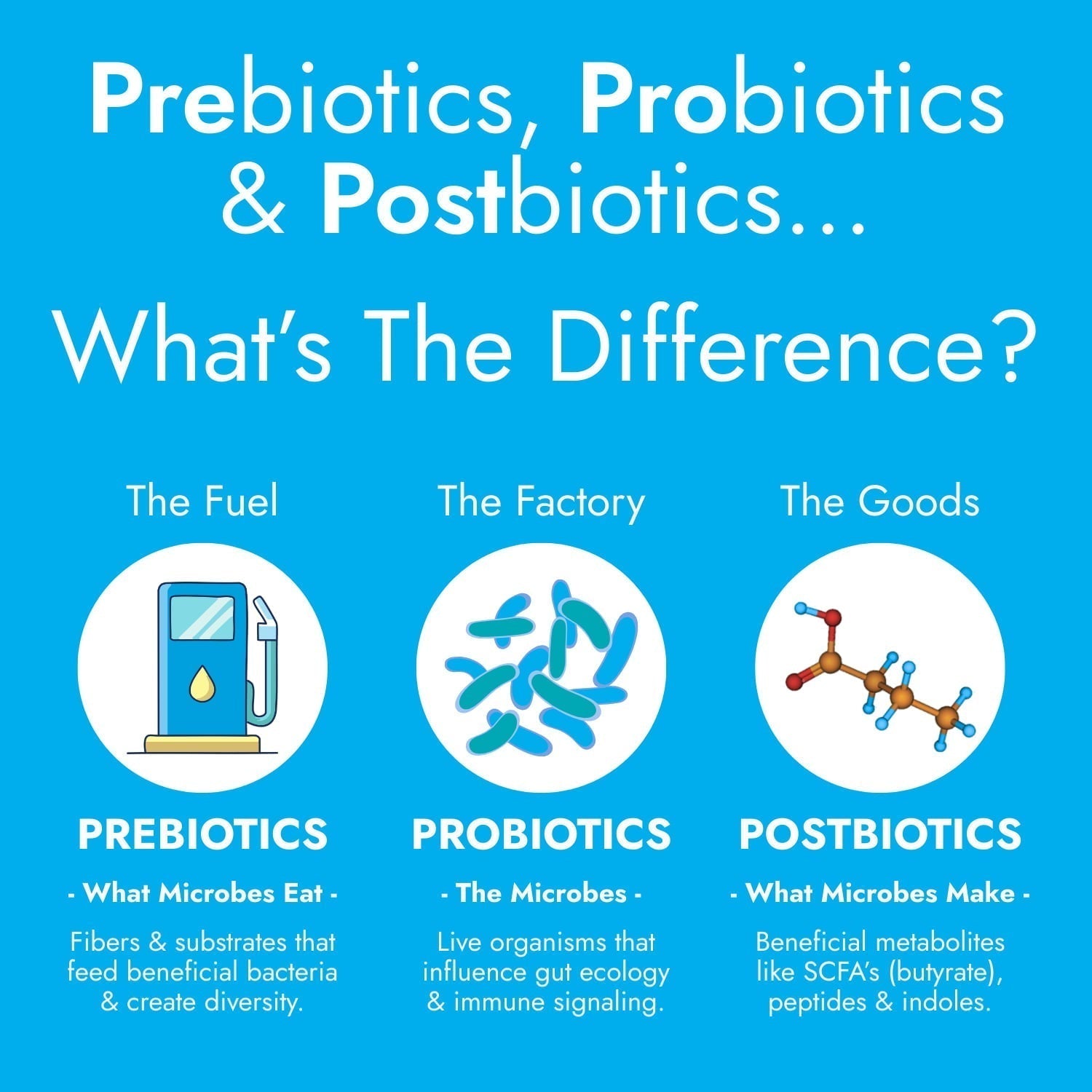 Prebiotics, Probiotics And Postbiotics… What Is the Difference?