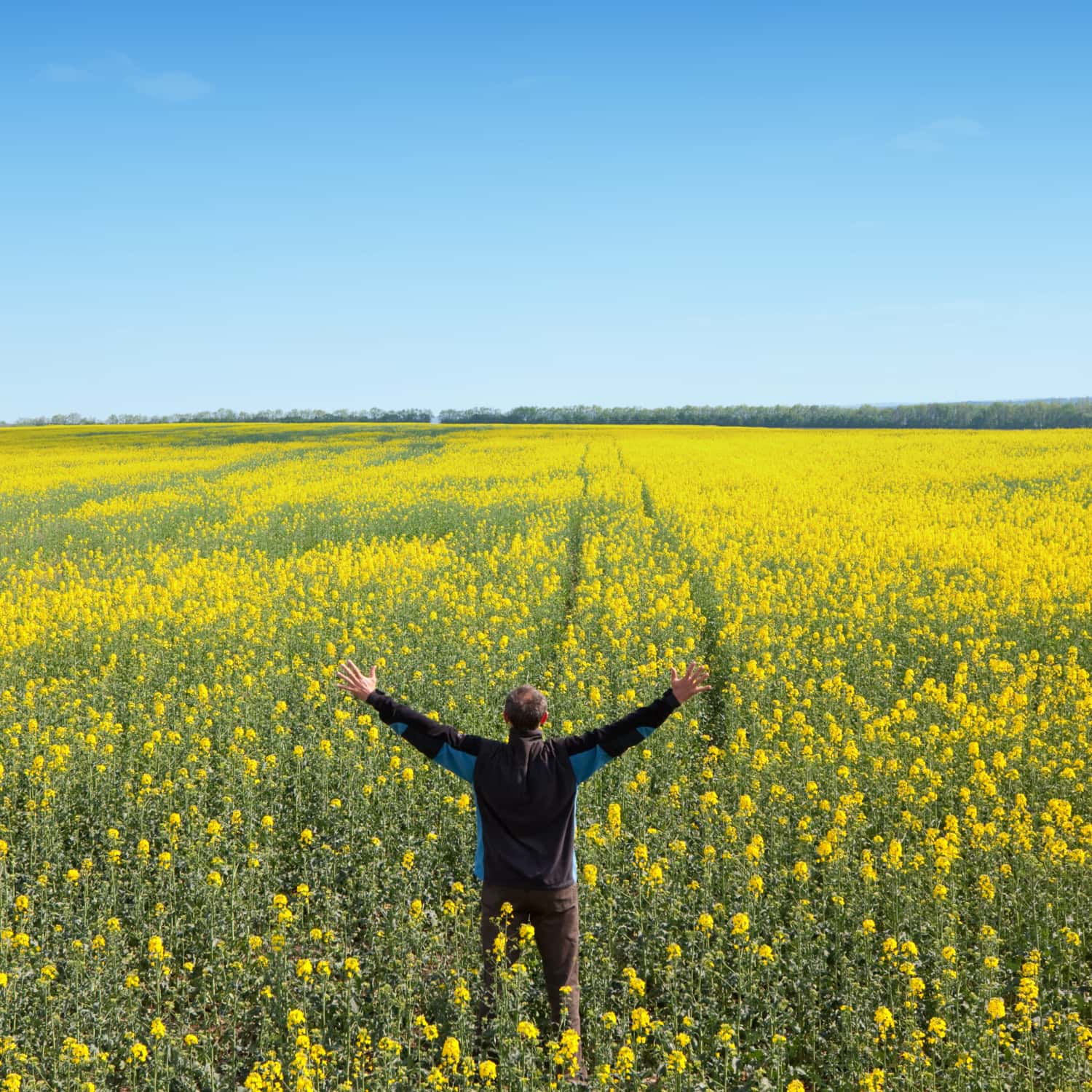 10 Ways Your Gut Sends Signals to Your Brain