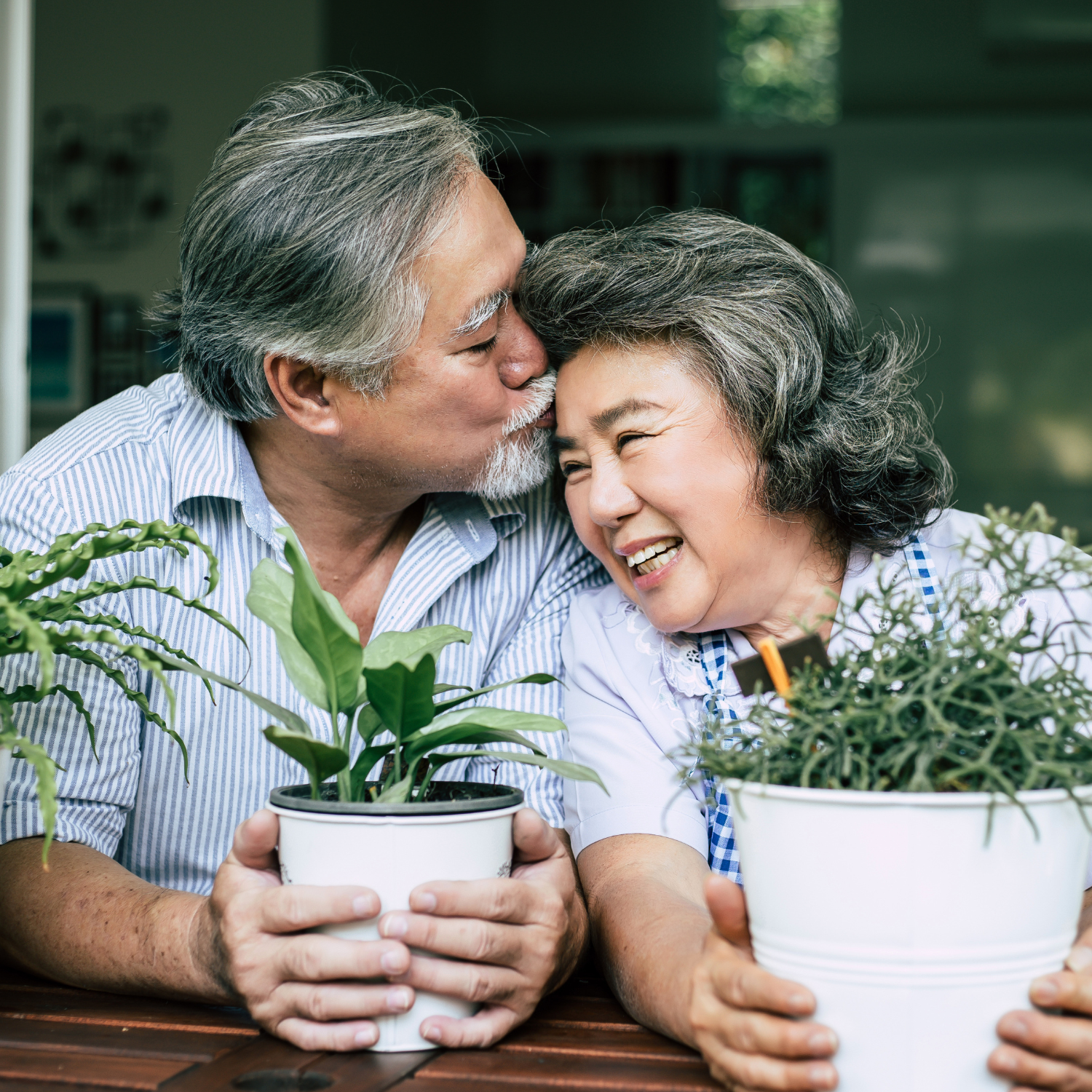 Happy older couple smiling and holding potted plants, representing healthy aging, connection, and longevity