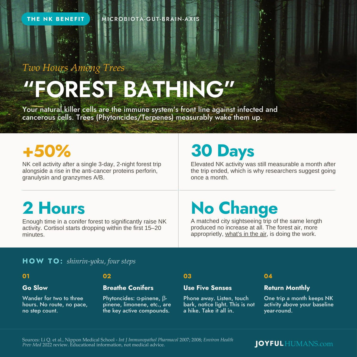 ROOTED Forest Bathing Oil