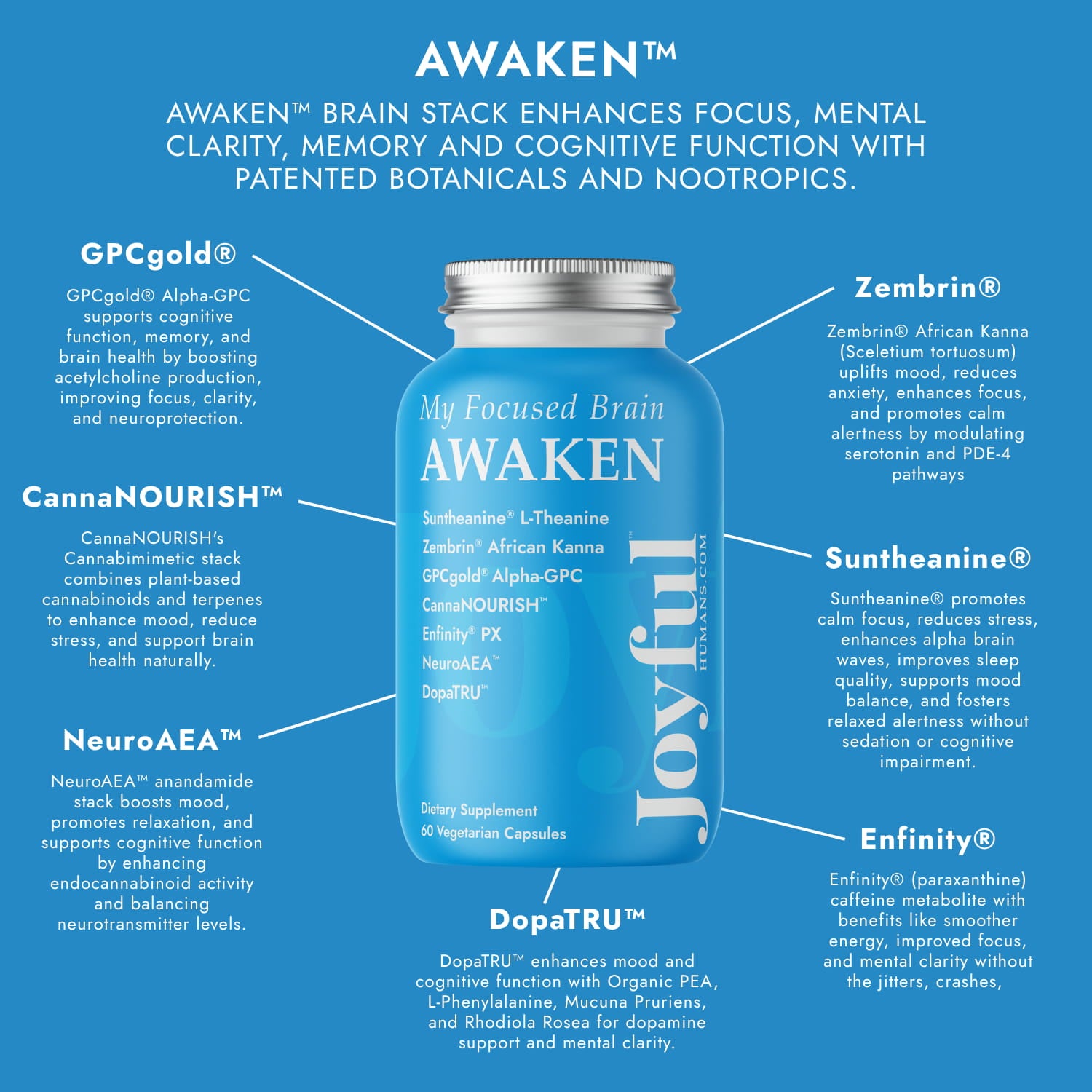 My Focused Brain AWAKEN™