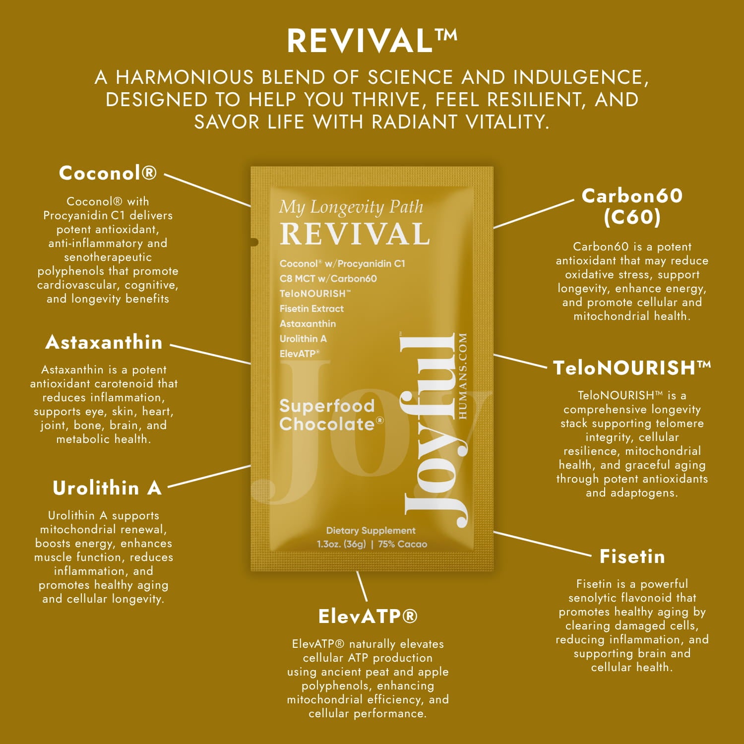 REVIVAL™ Superfood Chocolate®