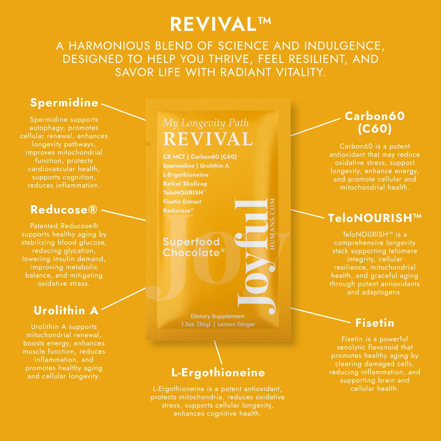 REVIVAL™ Superfood Chocolate®